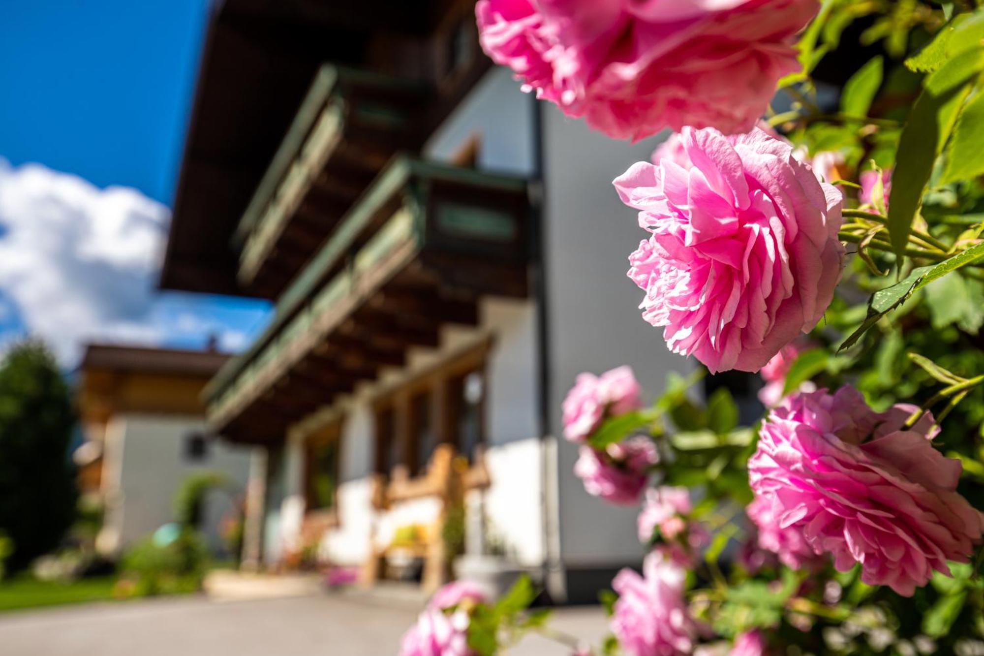 Holiday Im Gaestehaus Warter In Altenmarkt Altenmarkt im Pongau Esterno foto